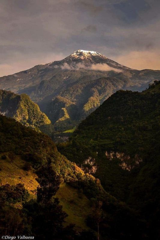 Tolima